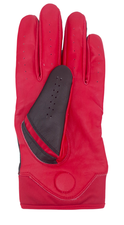 THE BYRD GOLF GLOVE