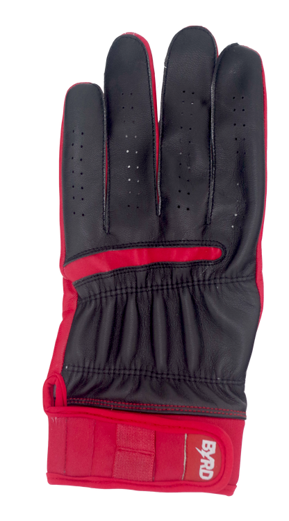 THE BYRD GOLF GLOVE